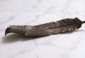 Hand-Forged Steel Feathers